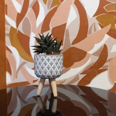 Le Stanze Di Luna 3*